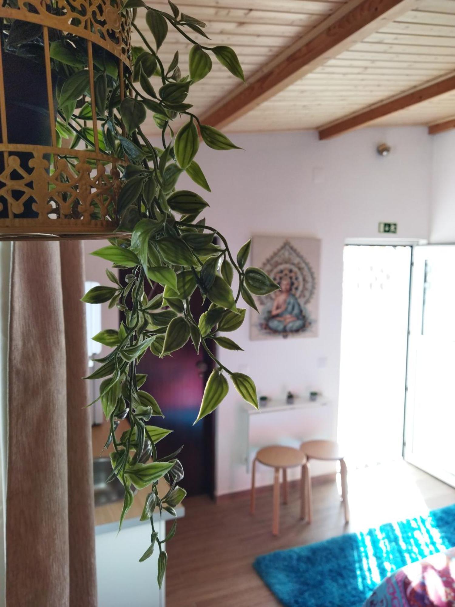 Casa Da Serra ナザレ エクステリア 写真